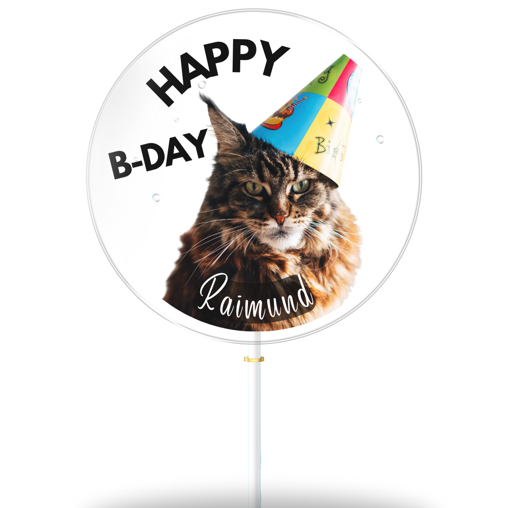 Katze "Raimund" (8er Geschenkbox)