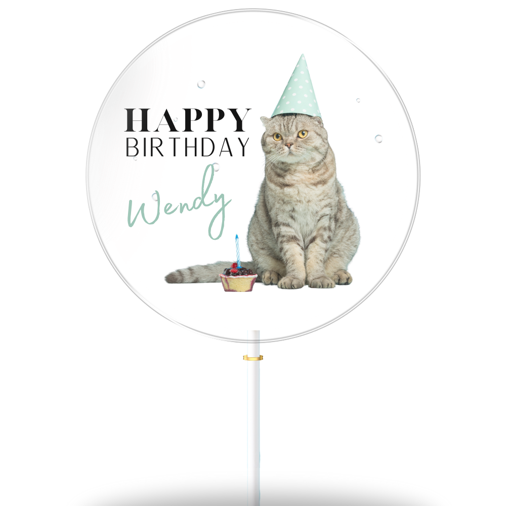 Katze "Wendy" (8er Geschenkbox)