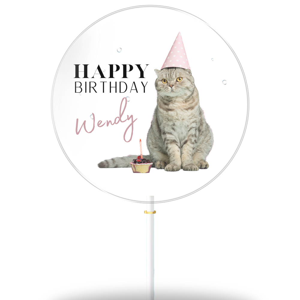 Katze "Wendy" (8er Geschenkbox)