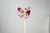 Flowerpops "Red Sunrise"